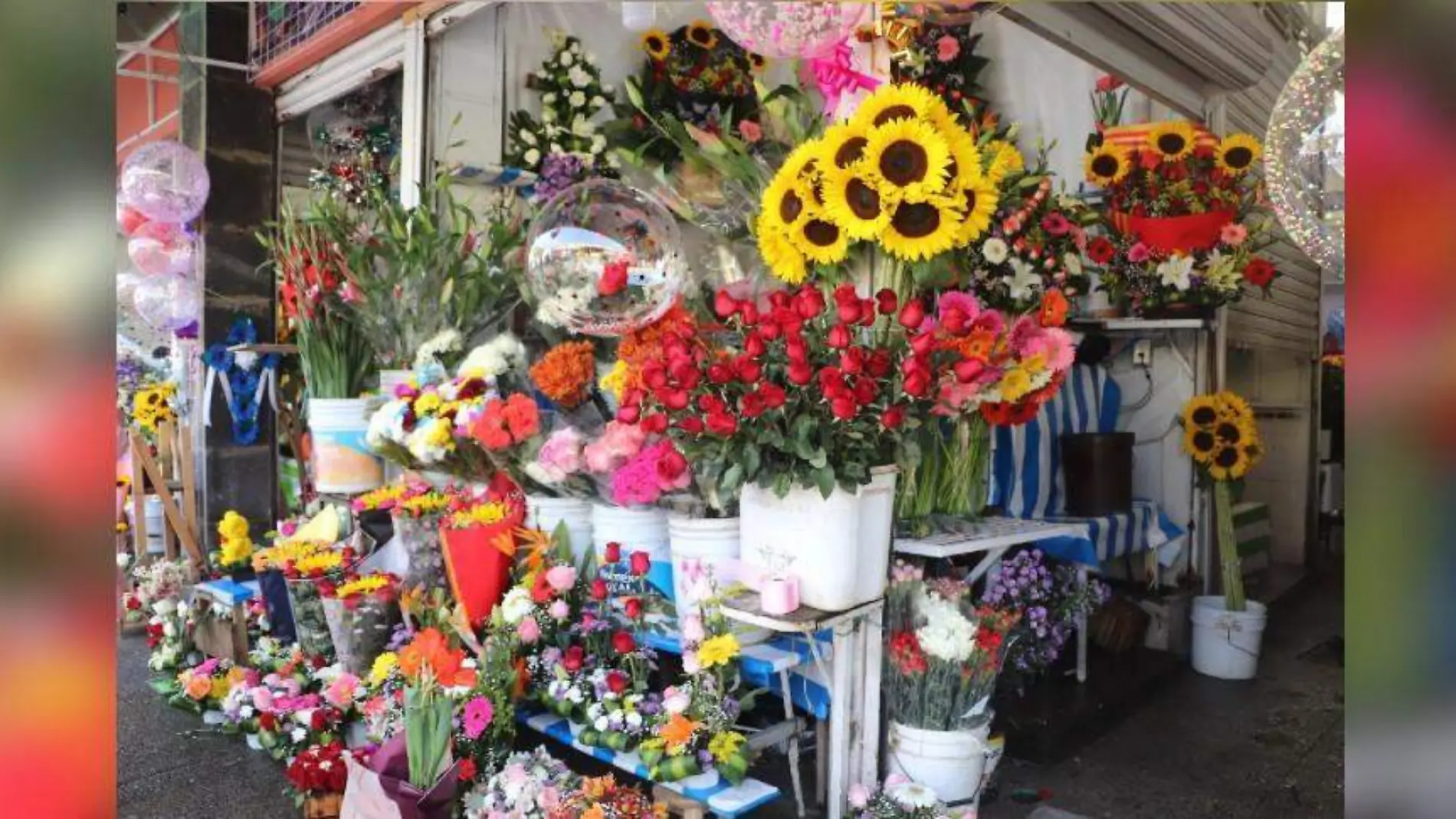 flores xochimilco CORTESIA